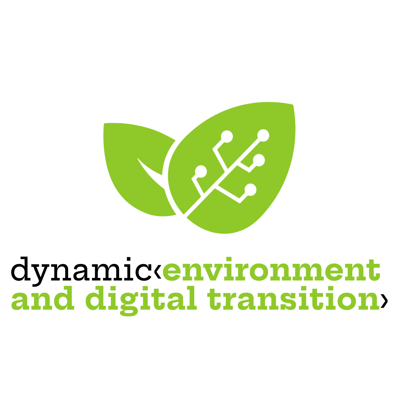 Categoria Dynamic Environment Digital Transition